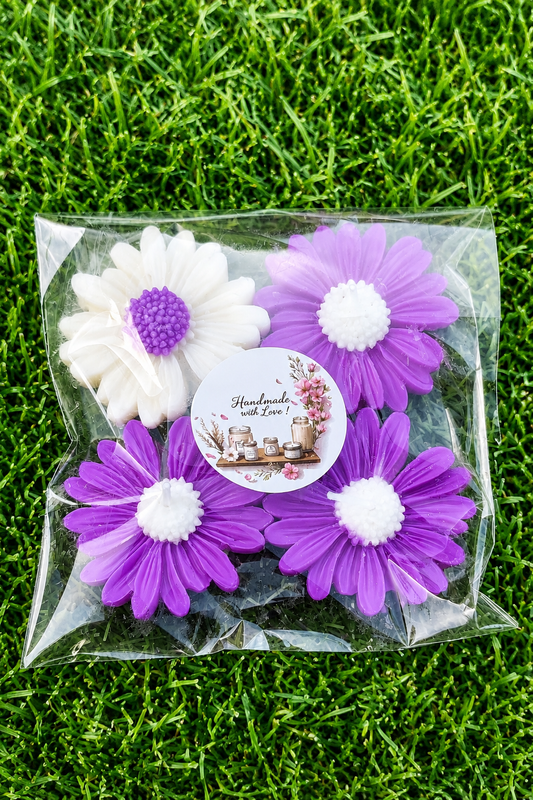 [Naturaleza en Calma] Margaritas flotantes lilas y blanca