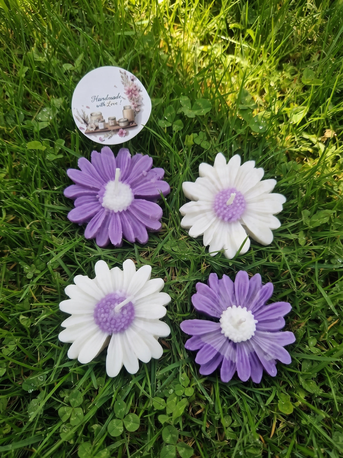 [Naturaleza en Calma] Margaritas flotantes blancas y lilas