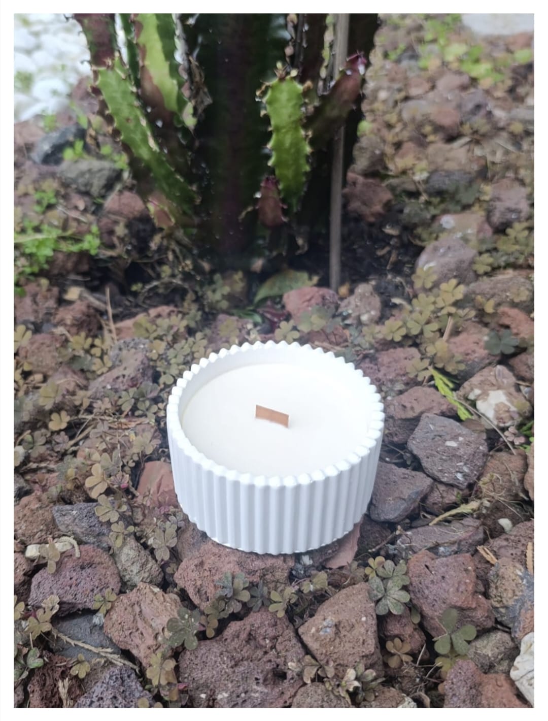 [Refugio Interior] Vela aroma castaña «Crepitar de calma»