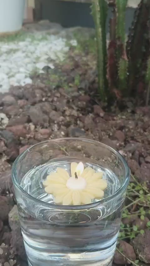 6. Pack «Jardín flotante»