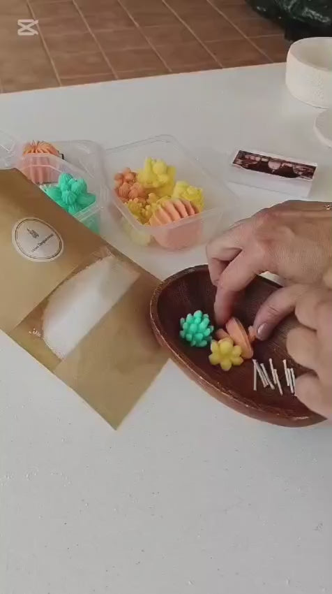 [Crea tu jardín] Oasis de cactus