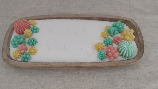 [Crea tu jardín] Oasis de cactus